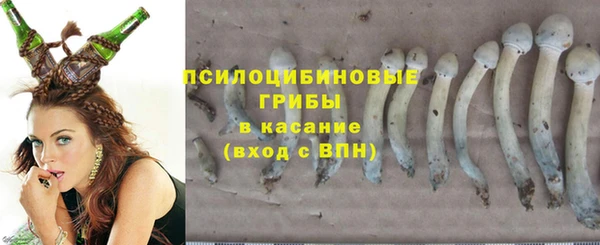 гашик Богородицк