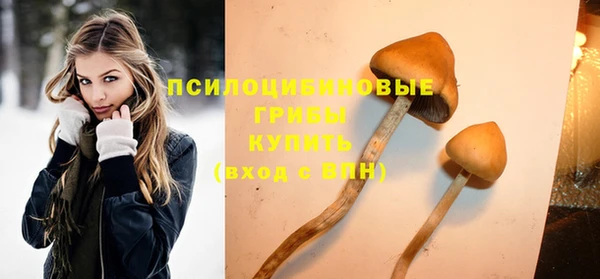 круглые Бронницы