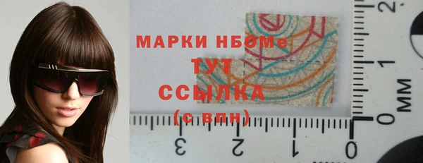 прущие грибы Бугульма