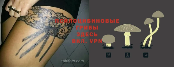 а пвп мука Богданович