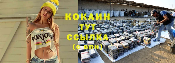 дживик Богородск
