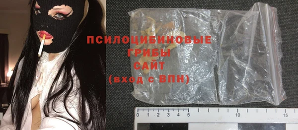 прущие грибы Бугульма