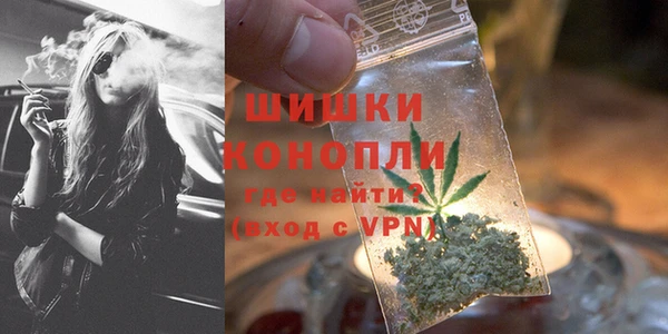 дживик Богородск