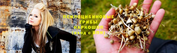 а пвп мука Богданович