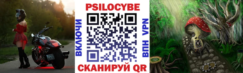 Галлюциногенные грибы GOLDEN TEACHER  Купить закладки  Струнино 
